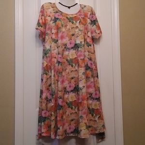 Beautiful Floral LuLaRoe Carly Pocket Dress